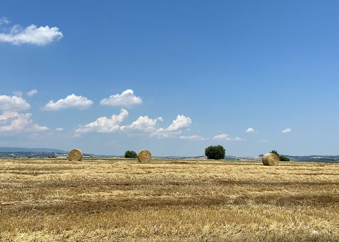 Assegnate le Spighe Verdi 2020 per i comuni rurali: Marche e Toscana in testa