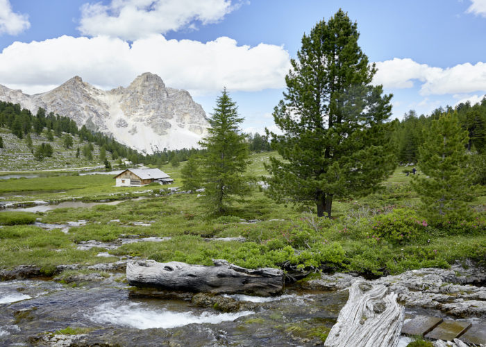 Dal Molise alle Dolomiti, ridurre lo stress con un “bagno nella natura”