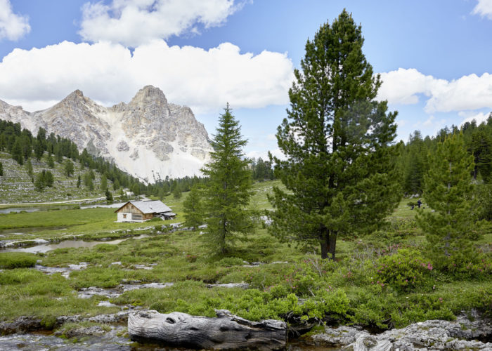 From the Molise region to the Dolomites, easing stress by “bathing in nature”