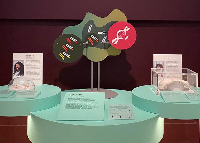 Cancer revolution, l’innovativa mostra allo Science museum a Londra