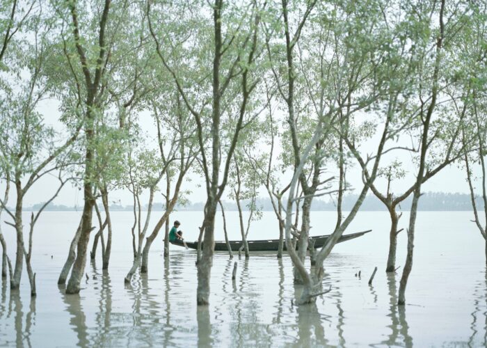 La fotografia per far riflettere sulla sostenibilità ambientale