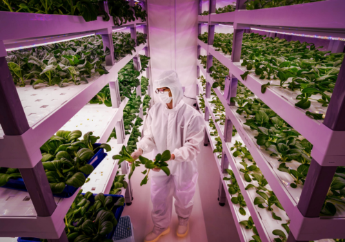 Agricoltura senza suolo: le vertical farm tra promesse e criticità