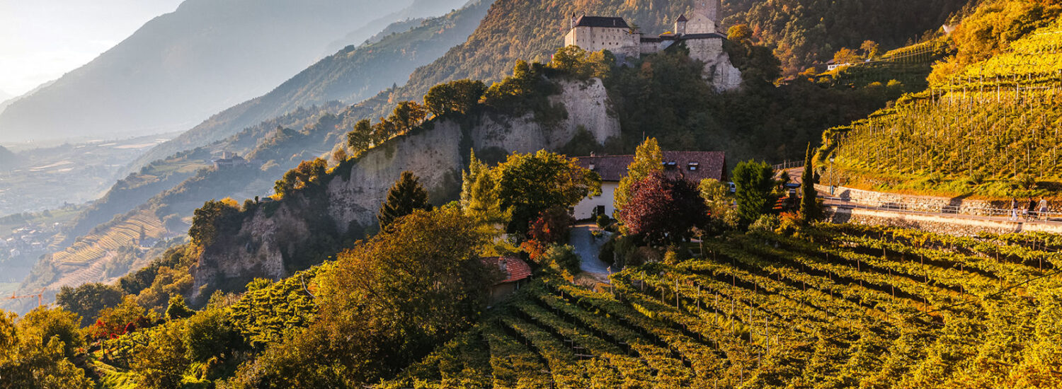 Passeggiate e buon cibo alla riscoperta dei sapori autunnali