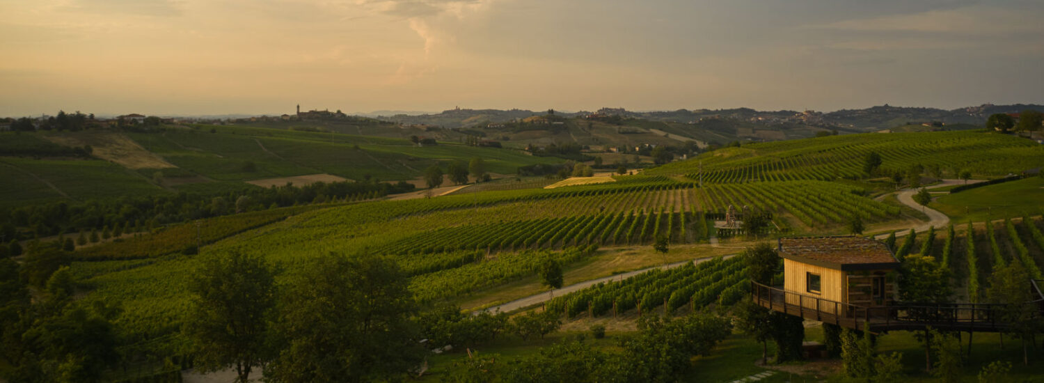 Tra Langhe e Monferrato il ristorante che combina territorio, sostenibilità e materie prime