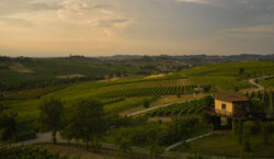 Tra Langhe e Monferrato il ristorante che combina territorio, sostenibilità…